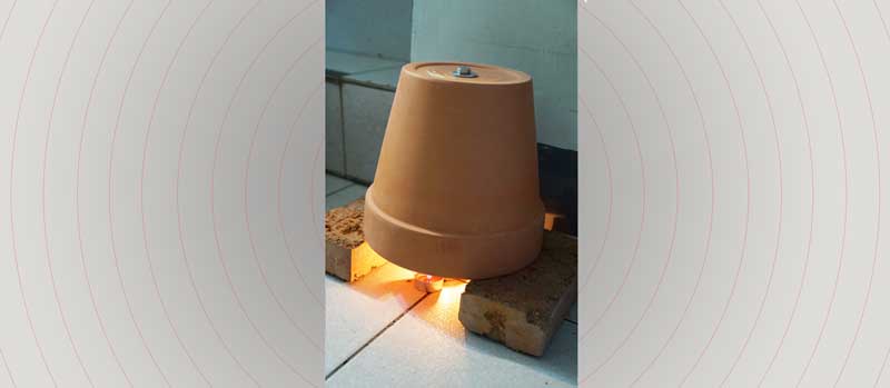 bloempotkachel gevaarlijk